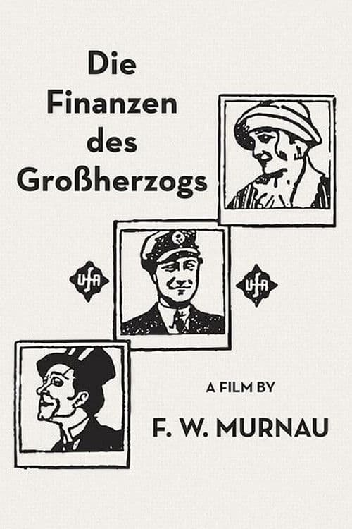 Die Finanzen des Großherzogs