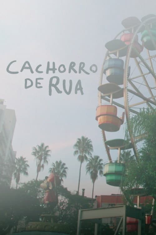 Cachorro de Rua