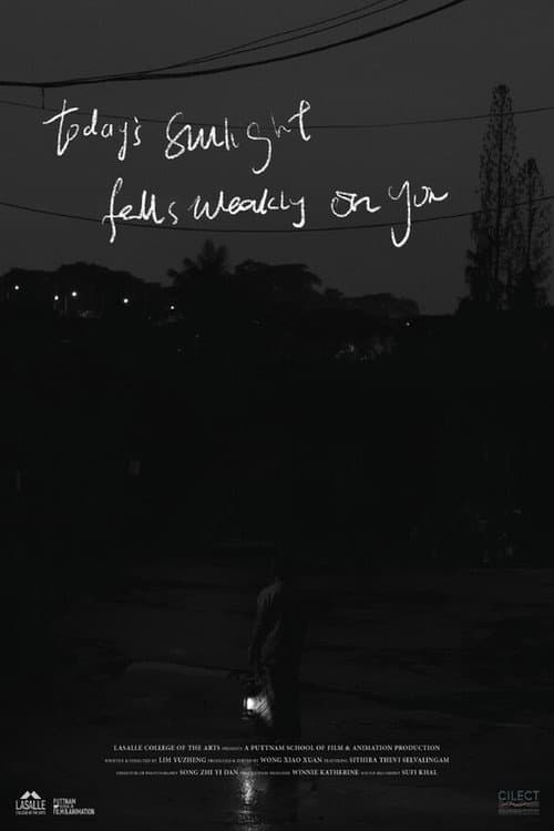 Today's Sunlight Falls Weakly on You