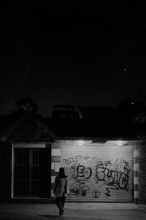 Los pájaros cantan de noche