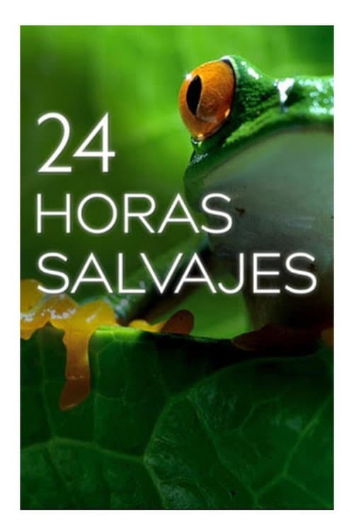 24 horas salvajes