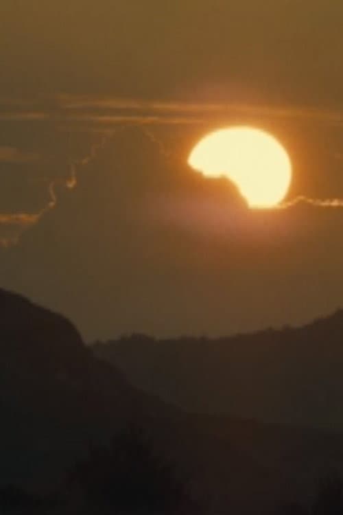 Le soleil tout entier ne se trouve nulle part