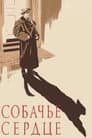 Собачье сердце