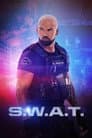 Temporada 8
