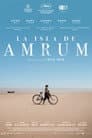 Amrum