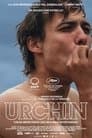 Urchin