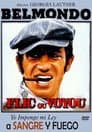 Flic ou Voyou