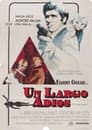 Un largo Adios
