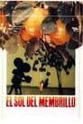El sol del membrillo