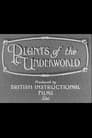 Plants of the Underworld