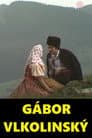 Gábor Vlkolinský