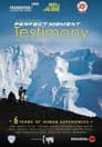 Perfect Moment - Testimony