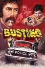 Busting