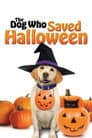 The Dog Who Saved Halloween