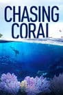 En busca del coral