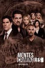 Temporada 8