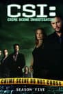 Temporada 5