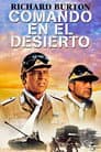 Raid on Rommel
