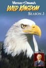 Temporada 3