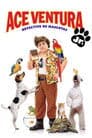 Ace Ventura Jr.: Detective de mascotas