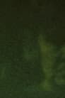 Song 29