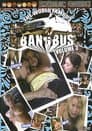 Bang Bus 3