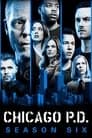 Temporada 6