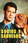 Socios y Sabuesos