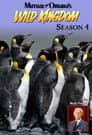 Temporada 4
