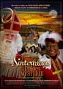 Sinterklaas: Het Pakjes Mysterie