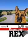 Temporada 9