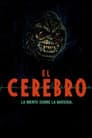 El cerebro