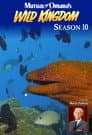 Temporada 10