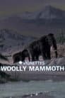 Canada Vignettes: Woolly Mammoth