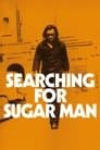 Buscando a Sugar Man