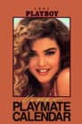 Playboy Video Playmate Calendar 1993
