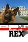 Temporada 10