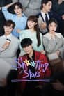 Estrellas fugaces