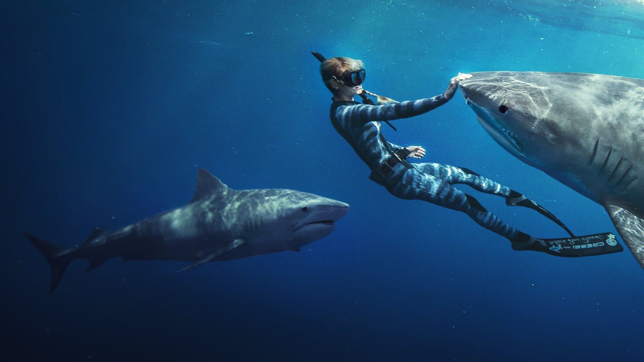 La Encantadora de Tiburones