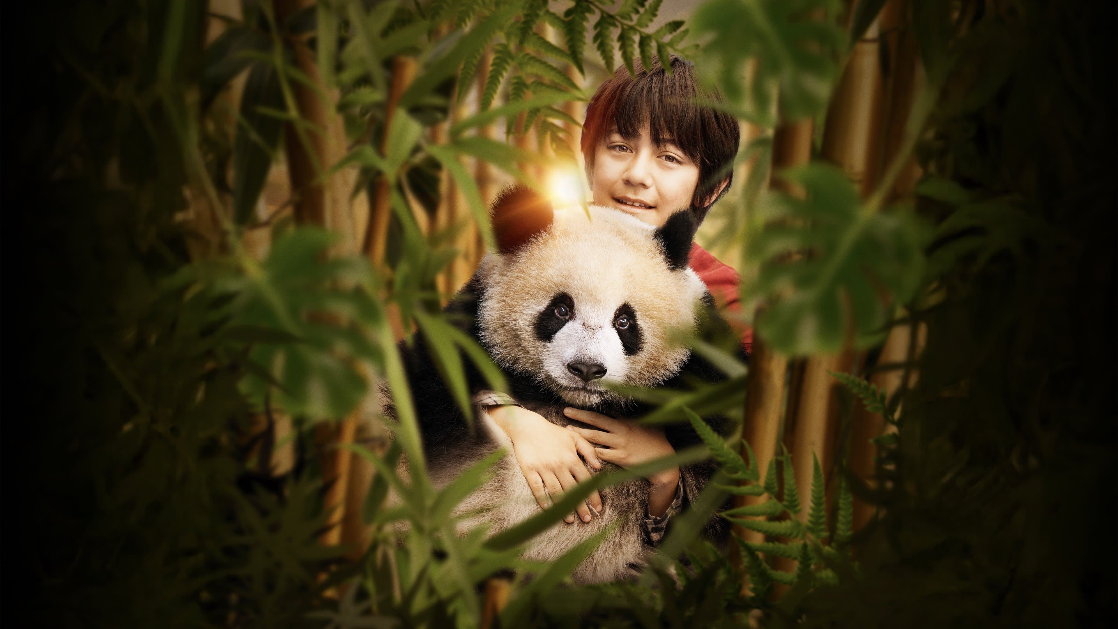 Moon, mi amigo panda