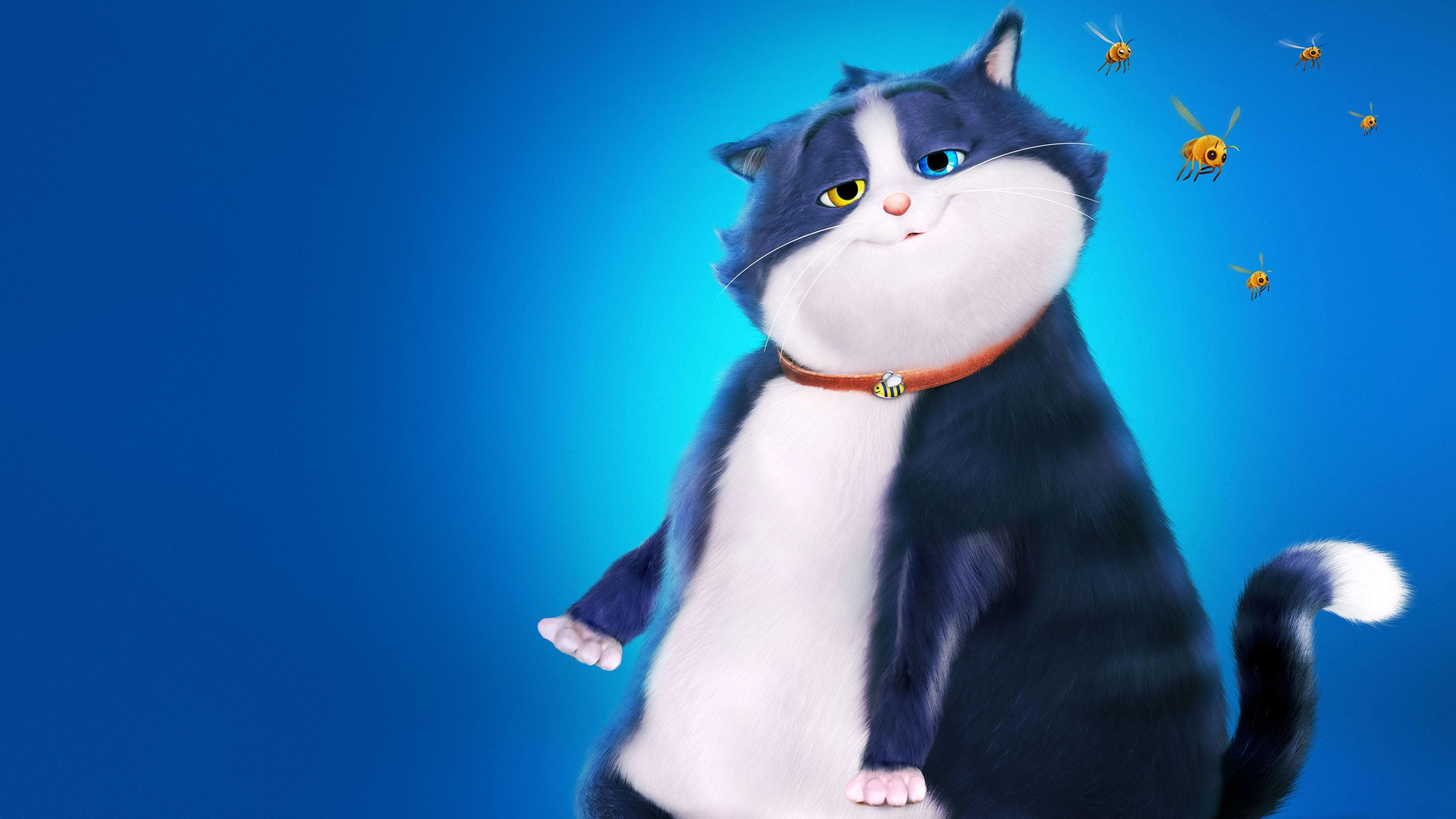 Un Gato con Suerte