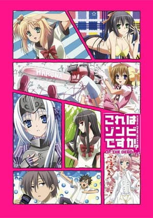 Temporada 2