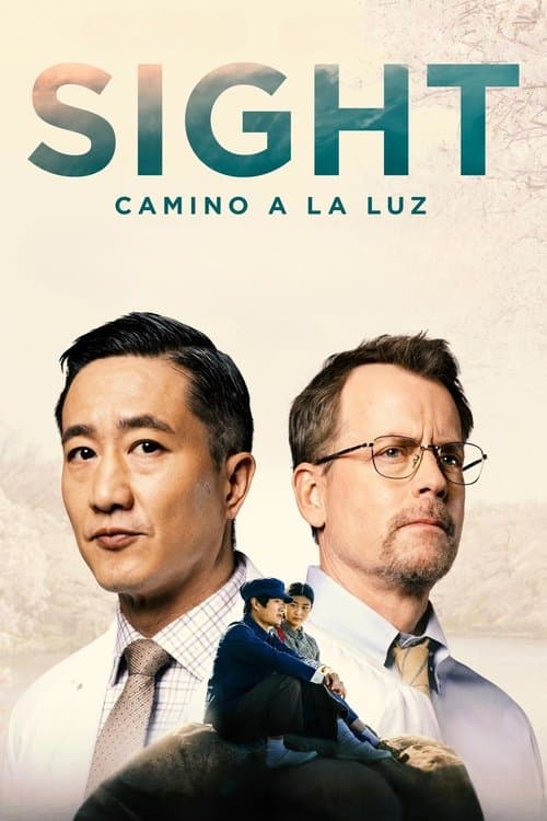 Sigth: Camino a la luz
